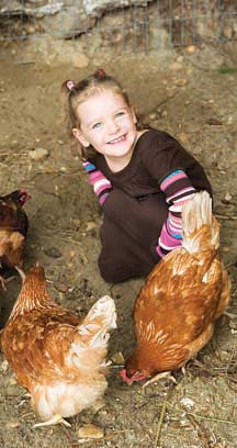 Head chicken keeper: Four-year-old Avari Dodd enjoys having chickens in her back yard.